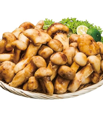 Amazon.co.jp: 落葉きのこ 北海道産 500g 冷凍 ハナイグチ 秋の味覚